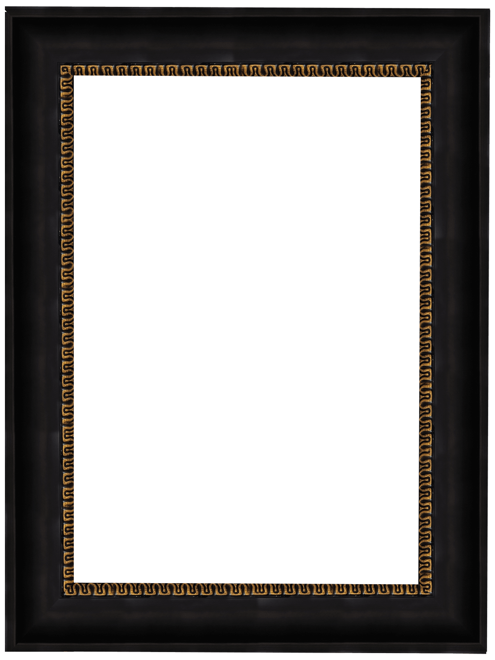 DY301-1