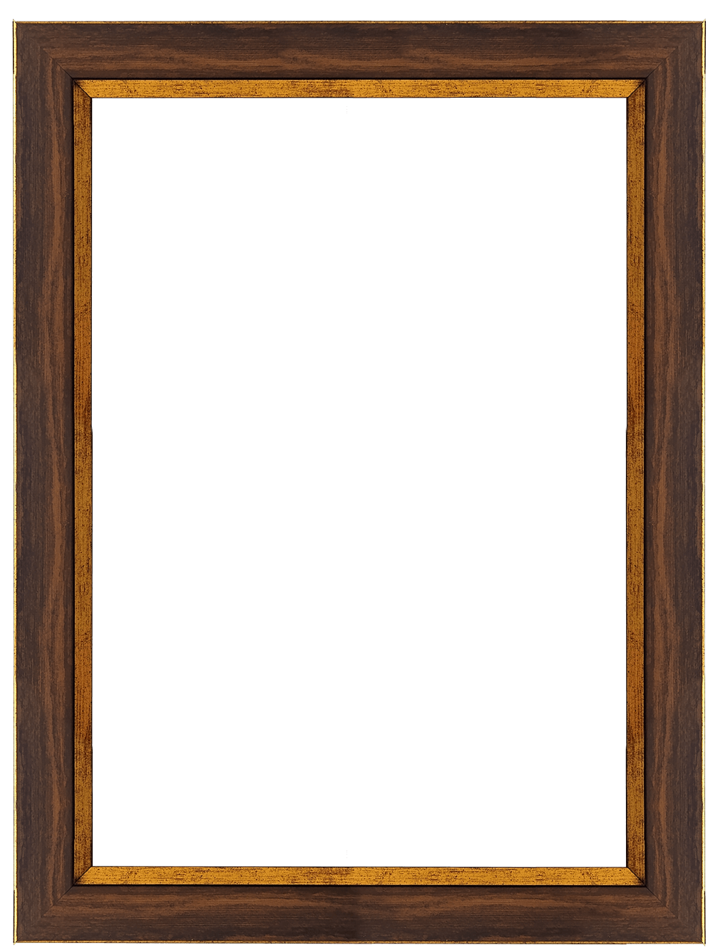 DY365-1